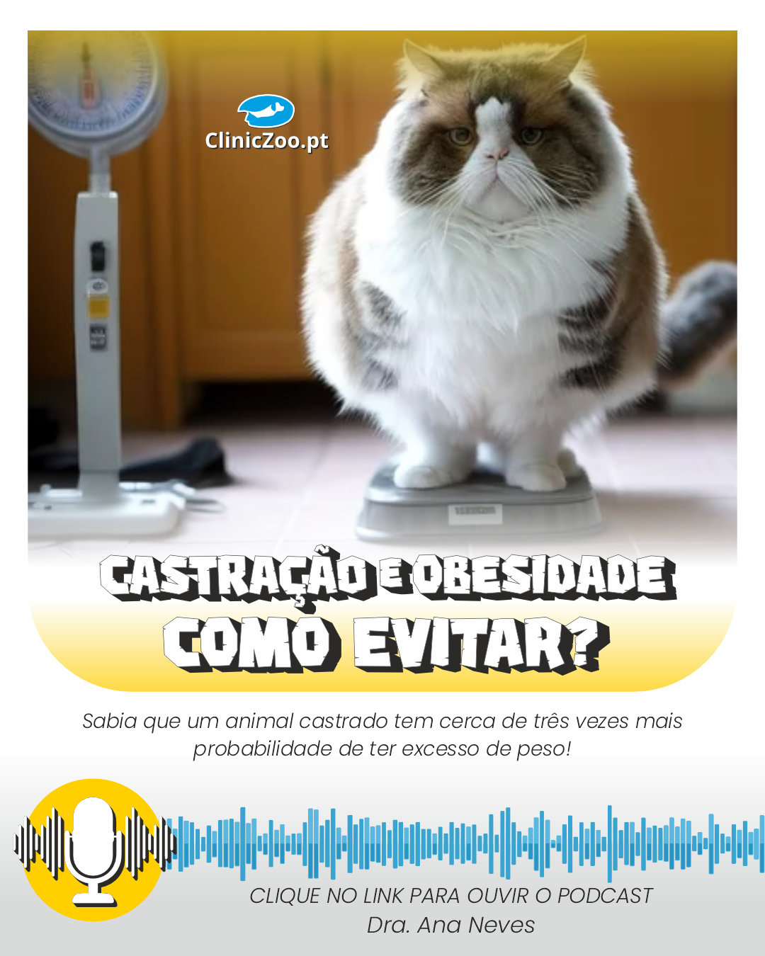 Castração Obesidade 1080x1350px